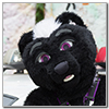 Eurofurence 2014 fursuit photoshoot. Preview picture of Nom Nom Crunch